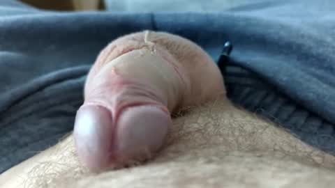 drippingrabbit online show from 04/21/26, 06:01