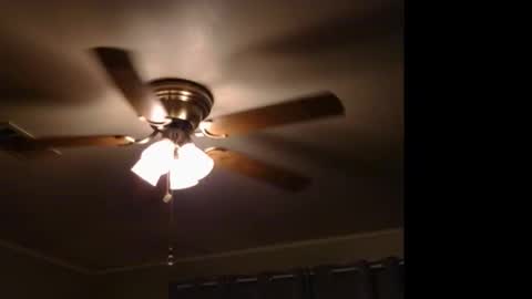 Snapshot of drippingwetfilipinapussy chatting on 11/09/25, 11:58 WetFilipinaPussy online show from 11/09/25, 11:58