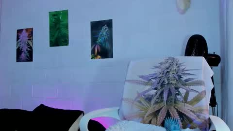 drippyorlove online show from 03/01/26, 08:22