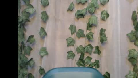 linda online show from 09/14/25, 08:08