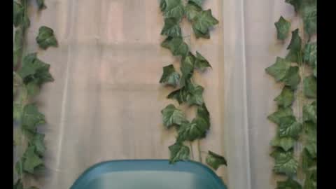 linda online show from 09/28/25, 11:04