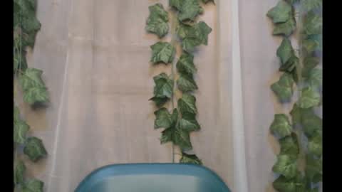 linda online show from 09/30/25, 12:26