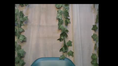 linda online show from 10/14/25, 12:50