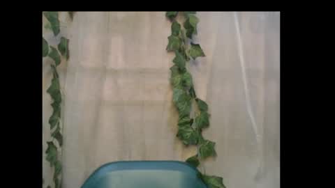 linda online show from 10/16/25, 01:12