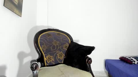 drizsx online show from 01/15/25, 09:02