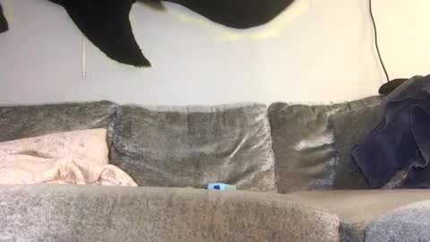 2xTheTrouble online show from 02/26/26, 01:26