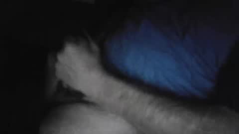 Snapshot of drthick1224 chatting on 11/03/25, 02:35 drthick1224 online show from 11/03/25, 02:35