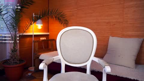 Polly day and Amelia night online show from 12/14/24, 11:39