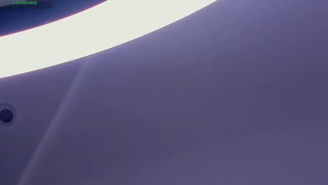 Polly day and Amelia night online show from 12/17/24, 08:54