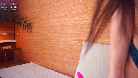 Polly day and Amelia night online show from 12/19/24, 09:29