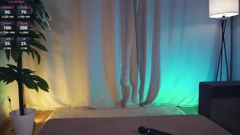 Polly day and Amelia night online show from 02/14/25, 09:13