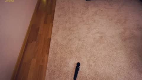 Polly day and Amelia night online show from 03/07/25, 09:29