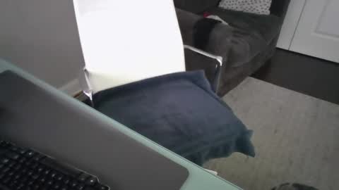 Snapshot of ds689655 chatting on 09/26/25, 08:24 ds689655 online show from 09/26/25, 08:24