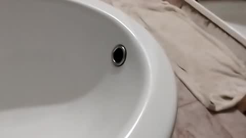 dthedog12 online show from 11/01/25, 10:12