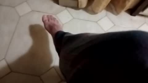 dthedog12 online show from 11/04/25, 11:48