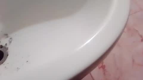 dthedog12 online show from 11/22/25, 09:36