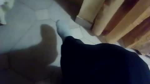 dthedog12 online show from 12/13/25, 09:42