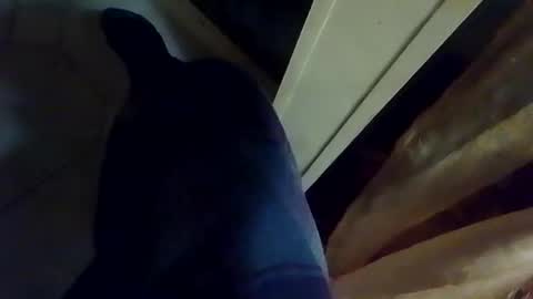 dthedog12 online show from 01/09/26, 02:14