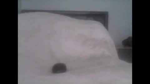 dudek0 online show from 11/01/25, 02:19