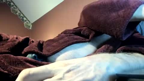 Doug online show from 11/16/25, 03:01