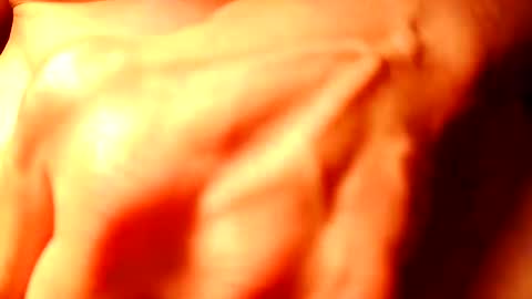 nomadjon online show from 02/08/25, 06:43