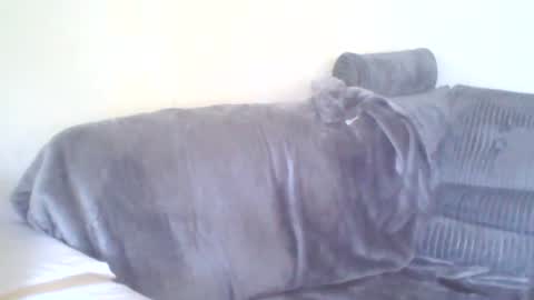 Snapshot of dukenucum73 chatting on 06/15/26, 04:42 chris online show from 06/15/26, 04:42