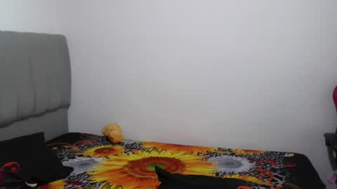 Snapshot of dulce_camx chatting on 05/01/26, 03:11 dulce_camx online show from 05/01/26, 03:11