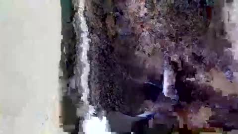  Sofia online show from 05/15/26, 11:06