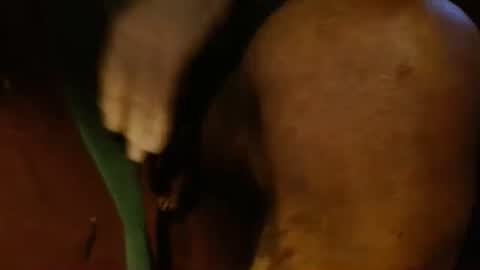 dunany101 online show from 02/26/25, 10:53