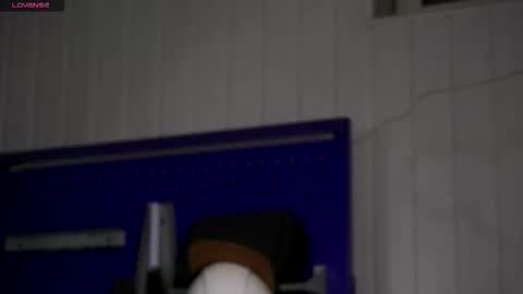 Dustyn online show from 11/23/25, 03:34