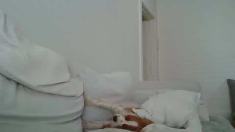 dustyroy09 online show from 02/14/25, 01:45