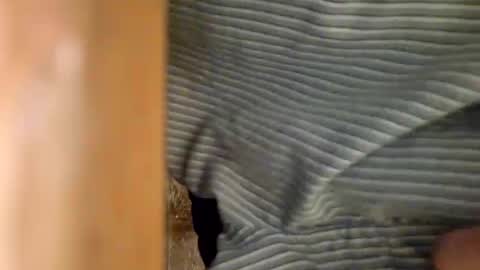 dVe1oPe online show from 01/06/25, 09:30