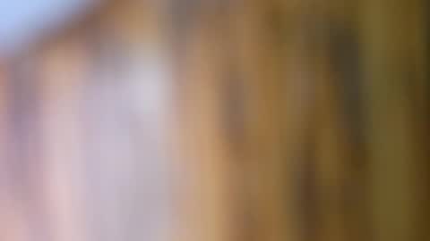 dVe1oPe online show from 09/10/25, 09:42