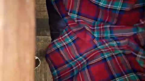 dVe1oPe online show from 04/11/26, 10:19