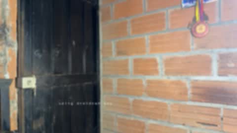 Dylangusss online show from 01/15/26, 04:06