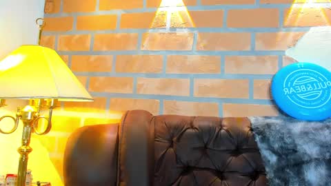 D Y L A N online show from 02/17/25, 02:42