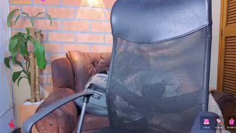 D Y L A N online show from 03/06/26, 02:41