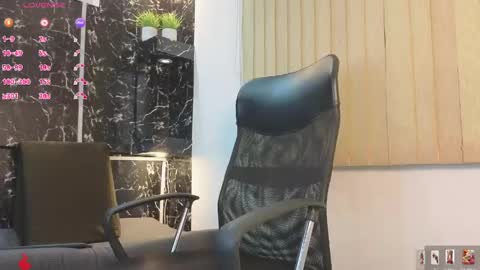 D Y L A N online show from 04/23/26, 02:35