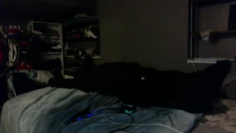 Snapshot of dynasty801 chatting on 10/23/25, 08:46 nastyboi801 online show from 10/23/25, 08:46