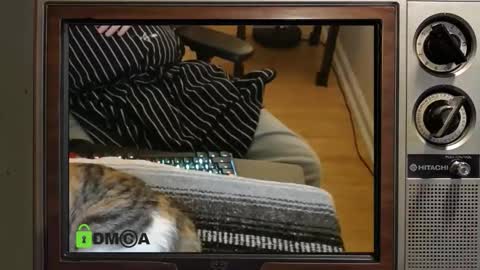 Snapshot of e8849c chatting on 11/08/25, 11:03 e8849c online show from 11/08/25, 11:03