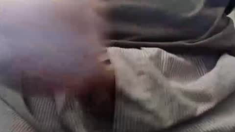 eat_a_peach2 online show from 02/11/25, 11:12