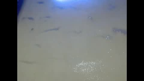 Snapshot of eatuupx chatting on 12/05/25, 09:18 eatuupx online show from 12/05/25, 09:18