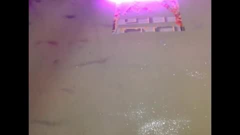 eatuupx online show from 12/19/25, 03:41