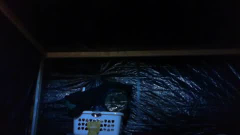 Snapshot of ebear1 chatting on 02/27/25, 09:36 ebear1 online show from 02/27/25, 09:36