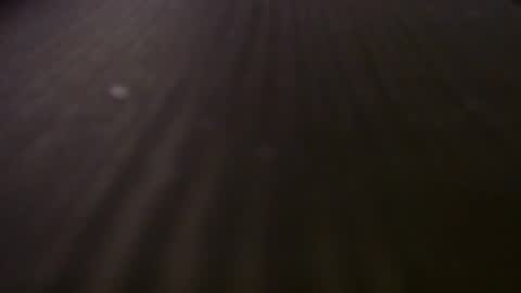 ebiminajj online show from 04/26/26, 04:48