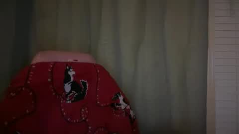 americnbarbie online show from 11/21/25, 02:21