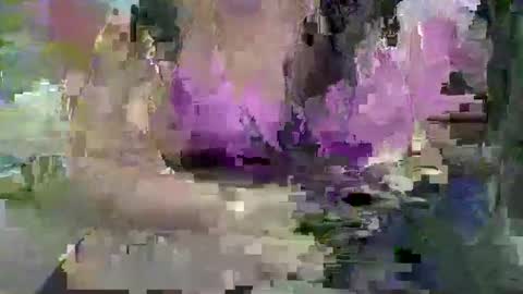 ebonybigtitqueen3 online show from 11/04/25, 01:48