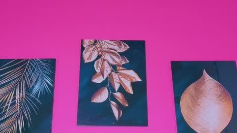 ebonyndsavage online show from 04/09/26, 06:19