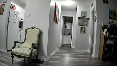 Snapshot of edgeofinsanity13 chatting on 01/23/25, 08:02 Angel online show from 01/23/25, 08:02