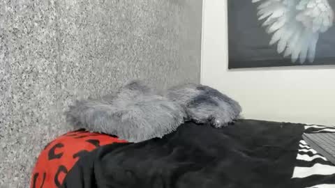 Snapshot of edi_stwix18 chatting on 01/13/26, 03:39 edi_stwix18 online show from 01/13/26, 03:39